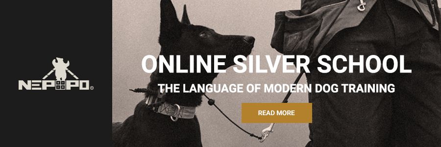 Online Silver School